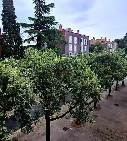 Palma